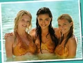 Cleo, bella, rikki