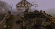 Edgeville after vision