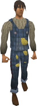 Bert