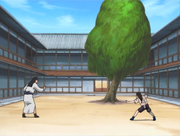 Hiashing training Neji