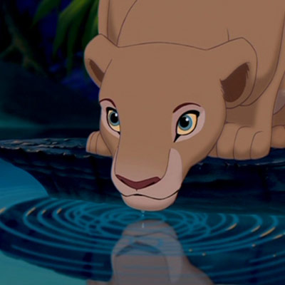 http://images1.wikia.nocookie.net/__cb20110917201925/lionking/images/b/be/Nala_drinking_water.jpg