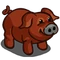 Duroc Pig-icon