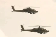 GF116