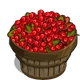 Cove Cranberry Bushel-icon