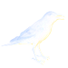 Eastern Crow