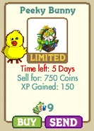 Peeky Bunny Market-info
