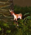 LongstriderGazelle