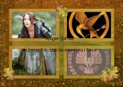 Hunger Games Collage