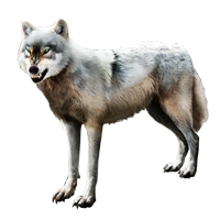 Huge item courageouswolf 01.png