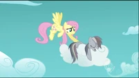 Fluttershy gently prods Rainbow Dash S2E02