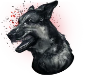 Attack dogs ELITE