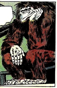 Bizarro Shaggy Man (Earth-One)