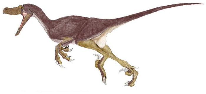 velociraptor carnivore