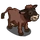 Canadienne Cow