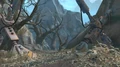 Tython bones.png