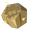 Fossil
