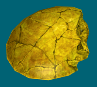 Dathomir amber