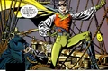 Robin Reign of Terror 001