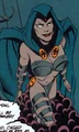 Raven Facets 001