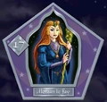 Morgane - Chocogrenouille HP2.jpg