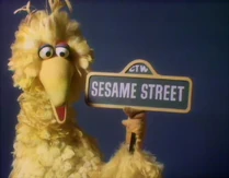 BigBird814