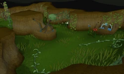 Nature grotto