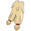 Ugly Cloak