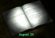 IndianRunnerDiary
