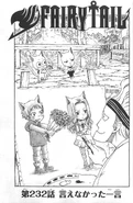 Cover 232