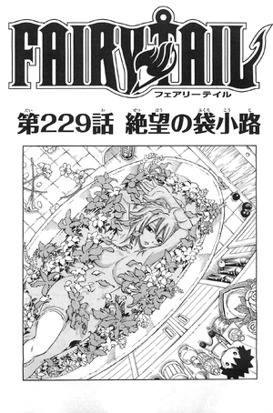 Cover 229