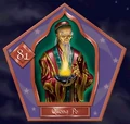 Quong Po - Chocogrenouille HP2.jpg