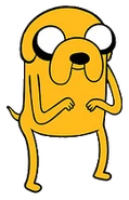 Jake