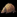 IconSmall Armadillo