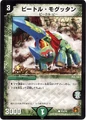 Dm-p16-y9