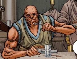 Stereb.jpg