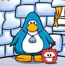Penguin-Pal walking Asais