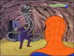 Octopus viejo