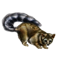 Huge item ringtailcat 01.png