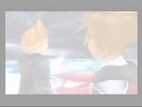 Roxas Defeat
