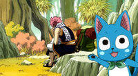 Natsu after first exam