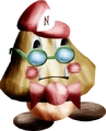 Nerdis