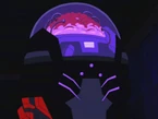 The Brain