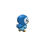 Piplup
