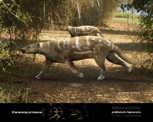 Phenacodus Dinopedia the free dinosaur encyclopedia