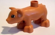 Duplo pig2