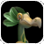 ZelanaMini.png (4 KB) ZelanaMini