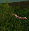 Marsh Serpent