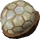 Stone of Jas detail.png