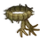 Noddabed Creeper