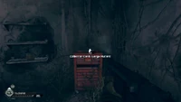 Card-Large Mutant location